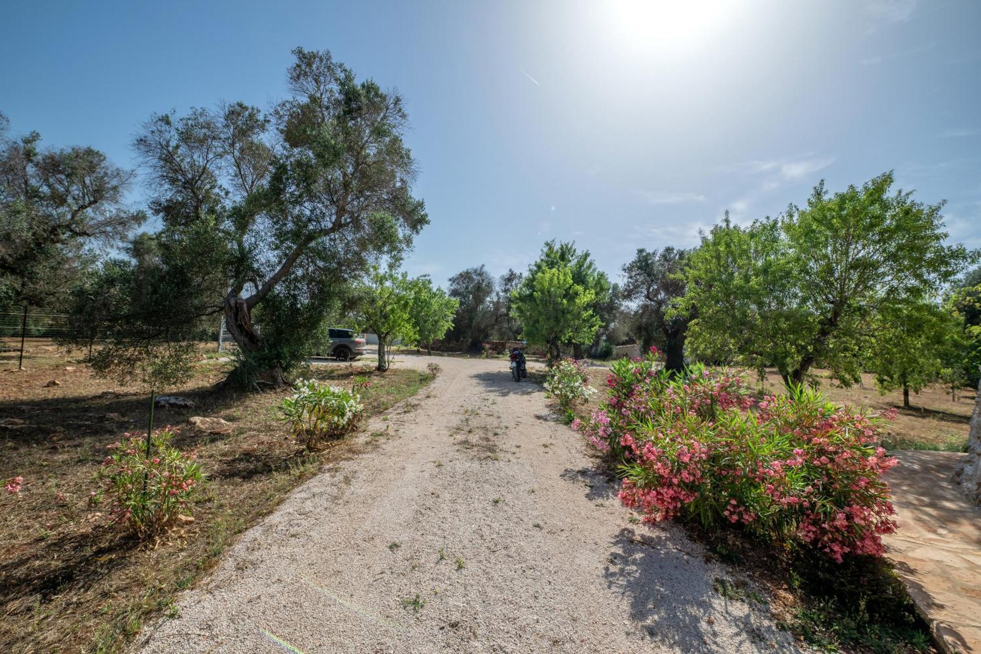 Il Trullo Di Mariangela Villa Ceglie Messapica Esterno foto